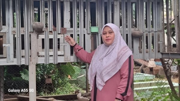 Inovasi peternakan rakyat oleh Qomafi Farm Group untuk penguatan ketahanan pangan