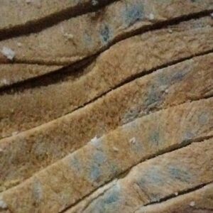 Diduga Roti Tawar Berjamur Dibagikan ke Siswa SDN Purwaraja, Pengelola Dapur MBG Beri Klarifikasi