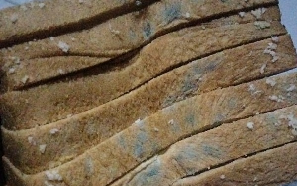 Dugaan Roti Berjamur Program MBG Pandeglang