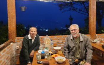 Iwan Fals Serukan Penegakan Hukum Tegas terhadap Pembalakan Liar