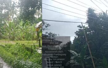 Kabel Listrik Terjuntai di Pagelaran Pandeglang Dikeluhkan Warga