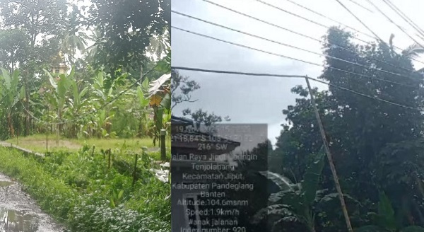 Kabel Listrik Terjuntai di Pagelaran Pandeglang Dikeluhkan Warga