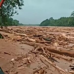 Kerusakan Hutan Diduga Picu Bencana Sumatera, FWK Minta Pemerintah Bertindak Tegas