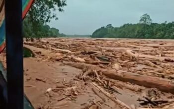 Kerusakan Hutan Diduga Picu Bencana Sumatera