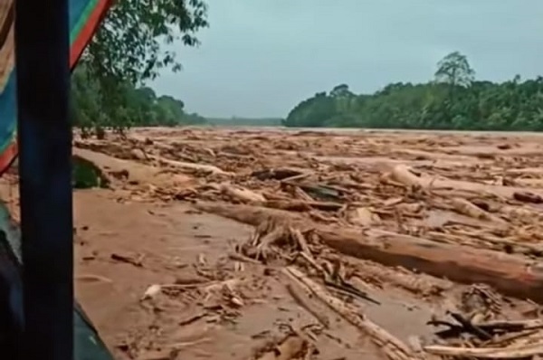 Kerusakan Hutan Diduga Picu Bencana Sumatera