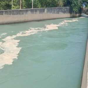 MPP Soroti Limbah Berbusa dari PLTU 2 Labuan, Desak Pengelolaan Lingkungan Diperbaiki