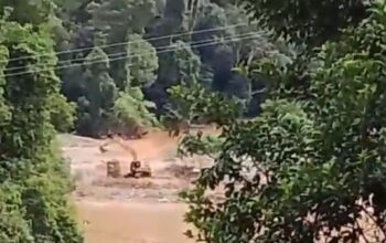 PETI Kian Marak di Rantobi Mandailing Natal