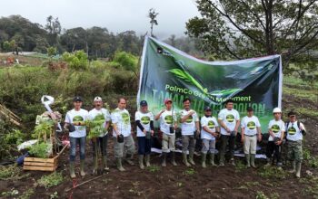 PalmCo Intensifkan Penanaman Puluhan Ribu Pohon di 12 Provinsi