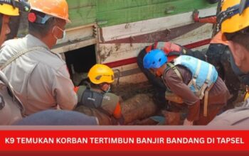 Tim K-9 Polri menemukan korban banjir bandang di Tapanuli Selatan