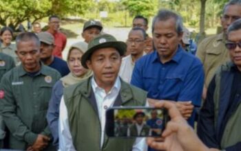 Krisis Gajah Tesso Nilo dan banjir Sumatra memicu kritik publik terhadap Raja Juli.