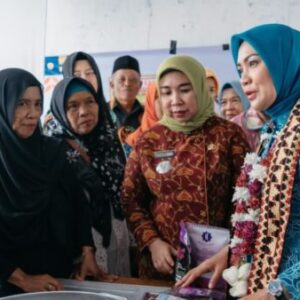 Semangat Kolaborasi, TP. PKK Provinsi Lampung Targetkan Desa TAPIS sebagai Model Pemberdayaan dan Kesejahteraan Keluarga