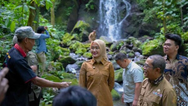 Wagub Lampung Tinjau Potensi Ekonomi Karbon di Perhutanan Sosial Way Kalam