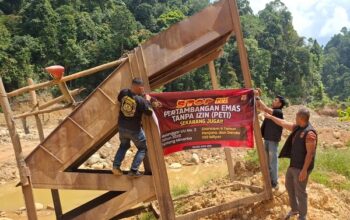 Aparat Gabungan Selidiki Dugaan Tambang Emas Ilegal