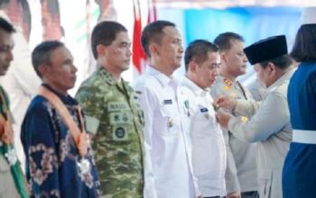Bupati Karawang Terima Satyalancana Wira Karya dari Presiden Prabowo