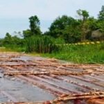 Gakkum Kehutanan Gagalkan Penyelundupan Kayu Ilegal di Ketapang, 5 Pelaku Diamankan