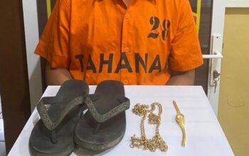 Gerak Cepat Polsek Sibolga Sambas Ungkap Kasus Curat