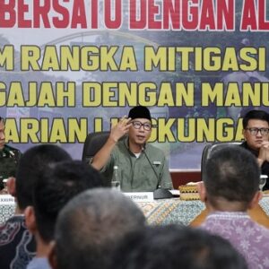 Gubernur Lampung Dorong Solusi Permanen Konflik Gajah-Manusia di Way Kambas