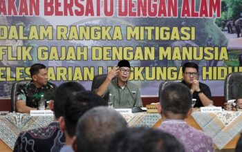 Gubernur Lampung Dorong Solusi Permanen Konflik Gajah-Manusia