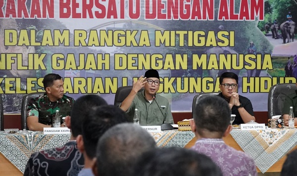 Gubernur Lampung Dorong Solusi Permanen Konflik Gajah-Manusia