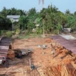 Diduga Tampung Kayu Ilegal, Industri Pengolahan Kayu di Ketapang Disegel Gakkum Kehutanan Kalbar