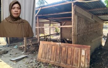 Janda Tiga Anak di Pidie Jaya Mengharap Uluran Bantuan