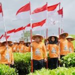 Menapaki Abad Kedua Teh Kayu Aro: Rebranding, Mutu, dan Warisan Sejarah Menuju Pasar Global