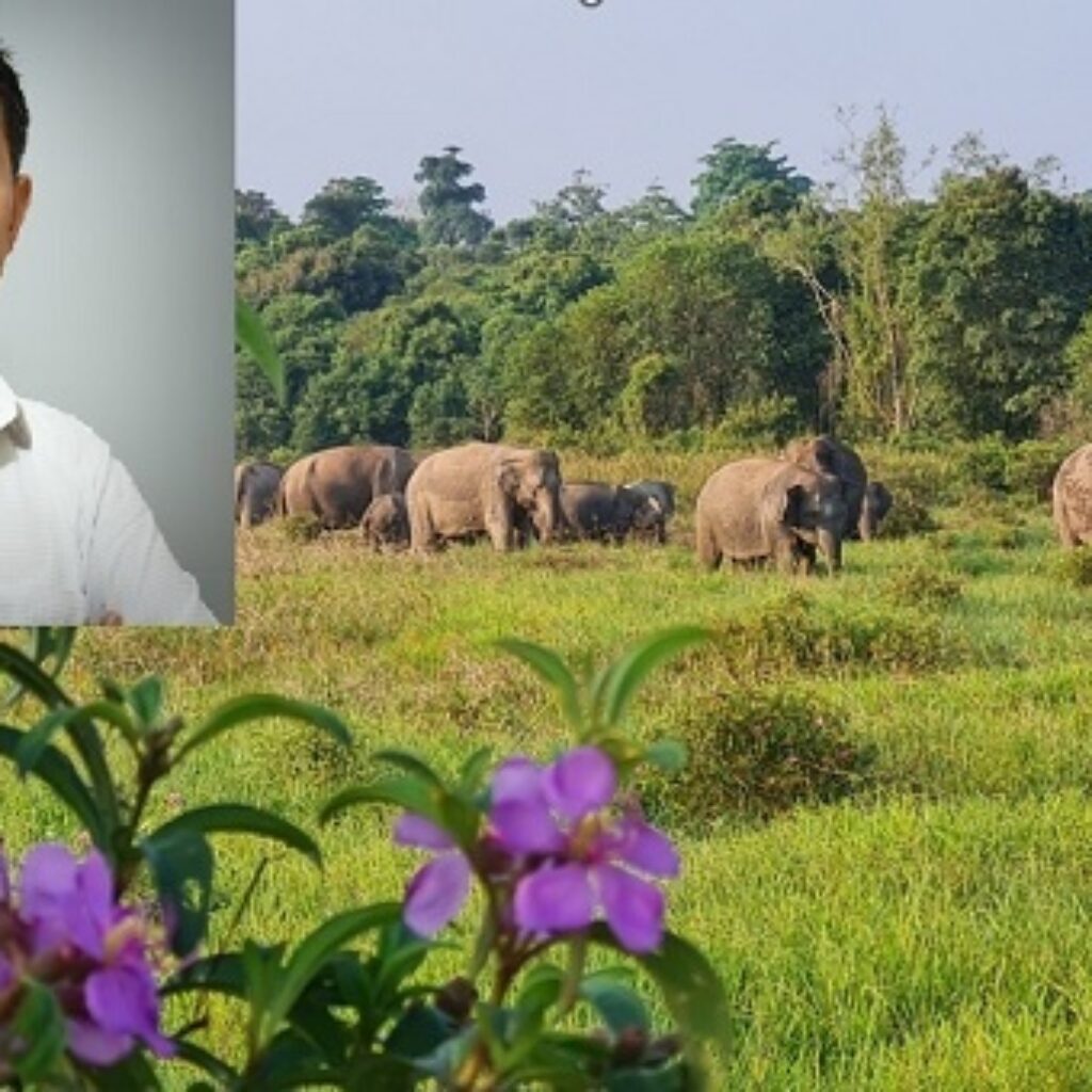 Mitigasi Konflik Gajah di Way Kambas, Balai TNWK Dorong Strategi Terpadu Infrastruktur dan Pemulihan Habitat