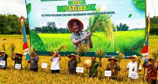 Pemkab Lebak Hapus PBB Sawah Kecil untuk Jaga Ketahanan Pangan