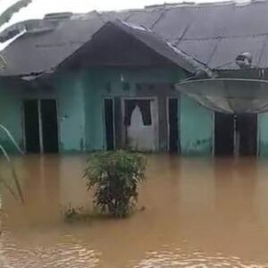 Banjir Terbesar Awal 2026, Ratusan Rumah serta Sawah Warga Pagelaran dan Patia Terendam