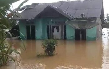 Ratusan Rumah serta Sawah Warga Pagelaran dan Patia Terendam