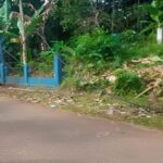 Warga Keluhkan Kabel Listrik Terjuntai di Pagelaran Pandeglang