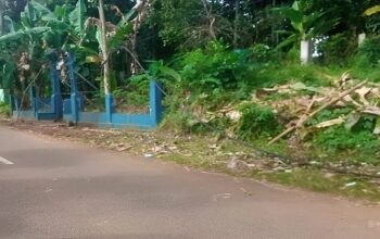 Warga Keluhkan Kabel Listrik Terjuntai di Pagelaran Pandeglang