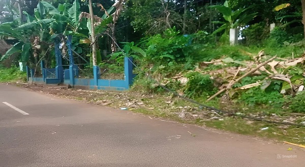 Warga Keluhkan Kabel Listrik Terjuntai di Pagelaran Pandeglang