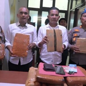 Polres Labuhanbatu Selatan Bongkar Peredaran Ganja 27 Kg, Pelaku Ditangkap