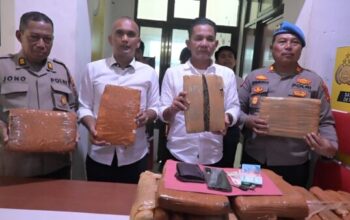 Satres Narkoba Polres Labuhanbatu Selatan ungkap 27 kg ganja