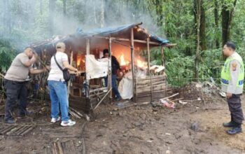 Polisi gerebek sarang narkoba di Sibolangit