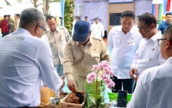 Presiden Prabowo meninjau produk hilirisasi gambir di Karawang