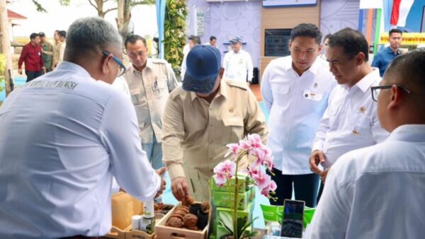 Presiden Prabowo meninjau produk hilirisasi gambir di Karawang