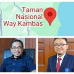 Ilustrasi perdagangan karbon Lampung dan kawasan hutan