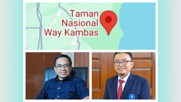 Ilustrasi perdagangan karbon Lampung dan kawasan hutan