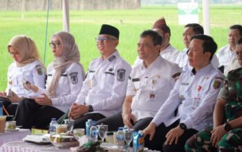 Gubernur Lampung mengikuti pengumuman swasembada pangan nasional oleh Presiden Prabowo