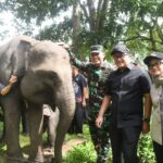 Atensi Presiden Prabowo Jadikan Way Kambas Percontohan Nasional