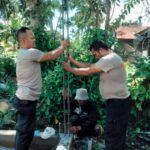 Brimob Polda Sumut Bantu Bangun Hunian Warga Terdampak Banjir di Tapanuli Selatan