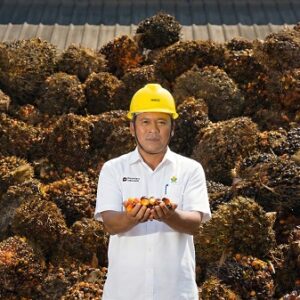 CPO PTPN IV PalmCo 99% Diserap Domestik, Target 100% Sertifikasi RSPO dan ISPO pada 2030