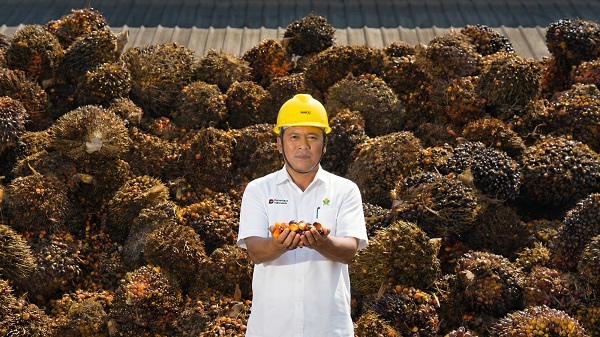 CPO PTPN IV PalmCo 99% Diserap Domestik