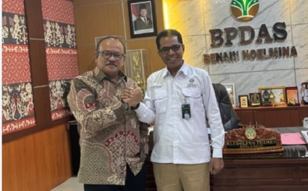 Effata–BPDAS Benain Noelmina Kembangkan Bibit Cendana