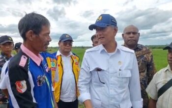 Kementerian PU Dorong Swasembada Pangan Papua Selatan