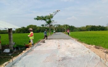 Kementerian PU Genjot Irigasi 750 Ribu Hektare di 2026