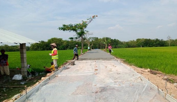 Kementerian PU Genjot Irigasi 750 Ribu Hektare di 2026