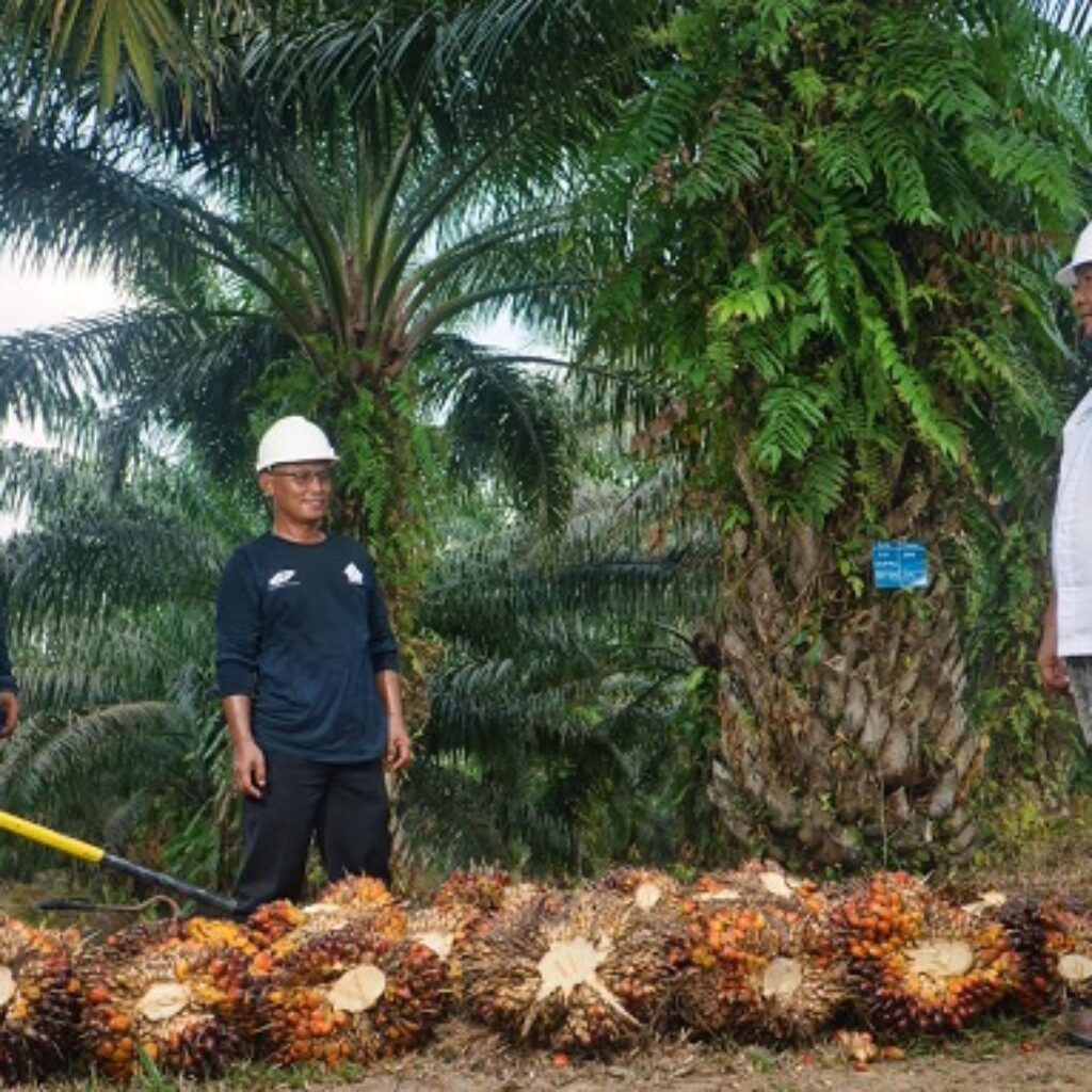 Jadikan Miniatur Indonesia, PTPN IV PalmCo Kelola Keberagaman 55 Suku Bangsa